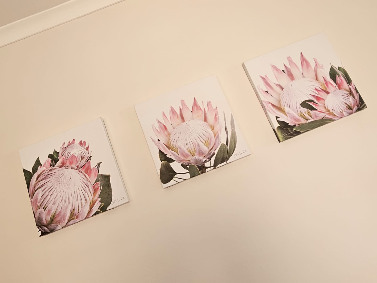 Heron Hideaway details